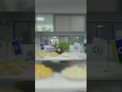 중국 영토에 대한 소일메크 독점 기관